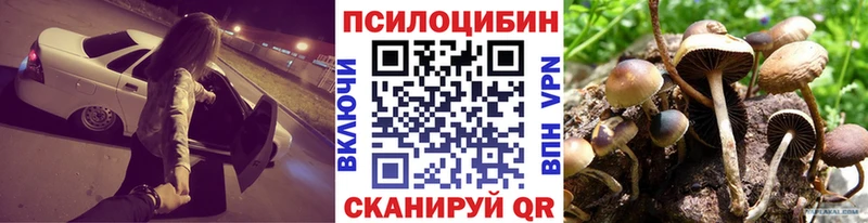 Купить закладки  Грозный  Псилоцибиновые грибы Cubensis 